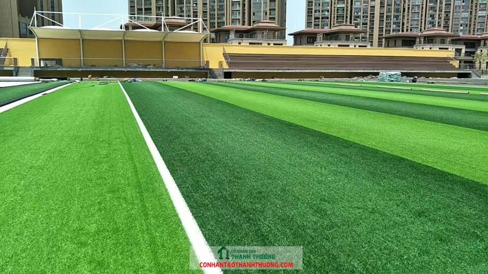 29683345 155220945307028 1991161085415257602 n (1)