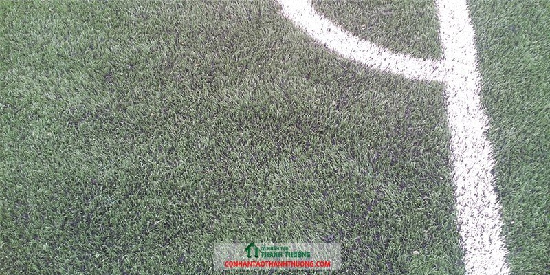 Quy trình thi công cỏ nhân tạo cũ