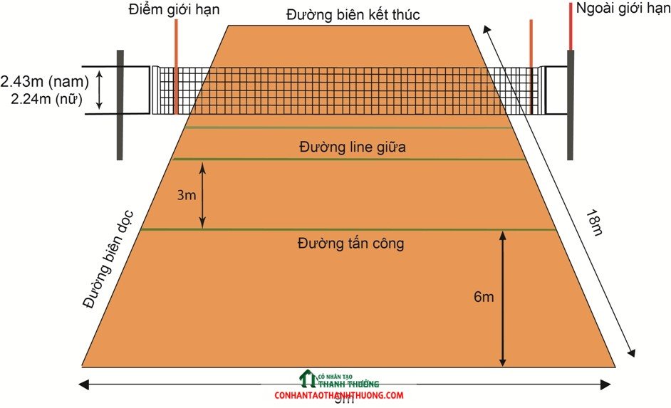Thảm bóng chuyền