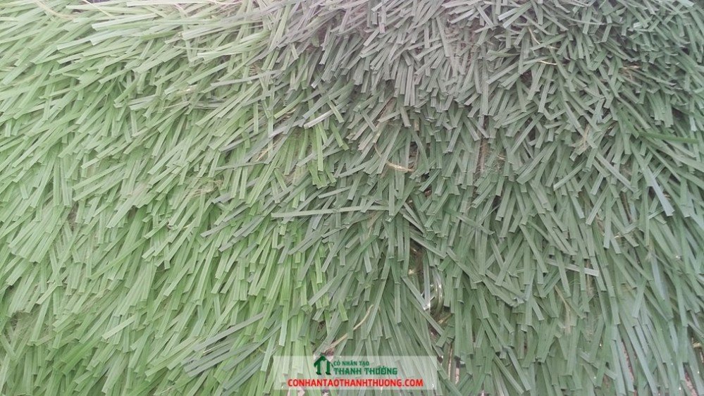 giá cỏ nhân tạo sân bóng