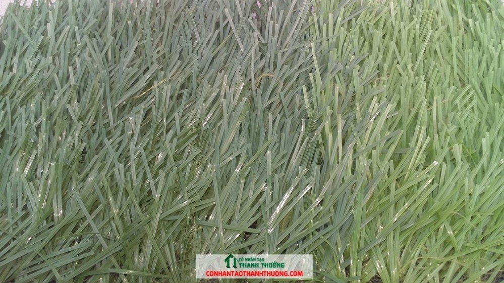cỏ nhân tạo quảng ninh