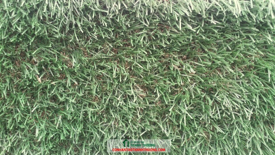 Cỏ nhân tạo phòng tập gym