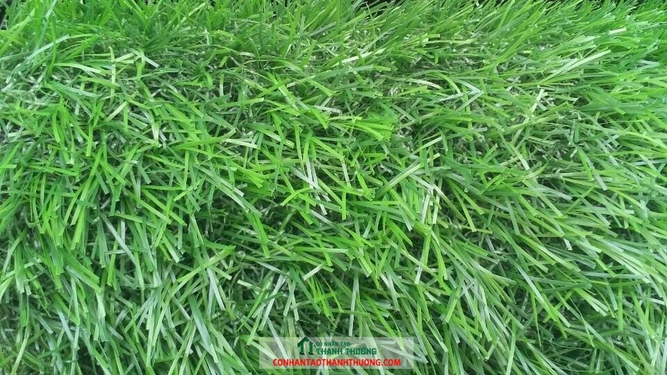 Cung cấp và thi công cỏ nhân tạo tại Vĩnh Long