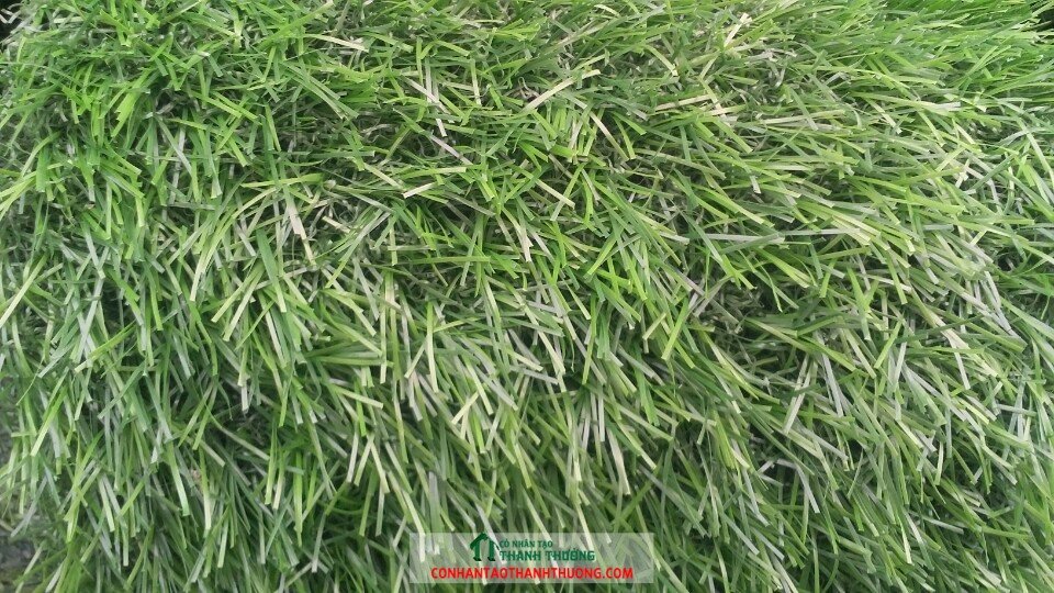 Cỏ nhân tạo chất lượng giá rẻ - Cỏ nhân tạo Thanh Thưởng