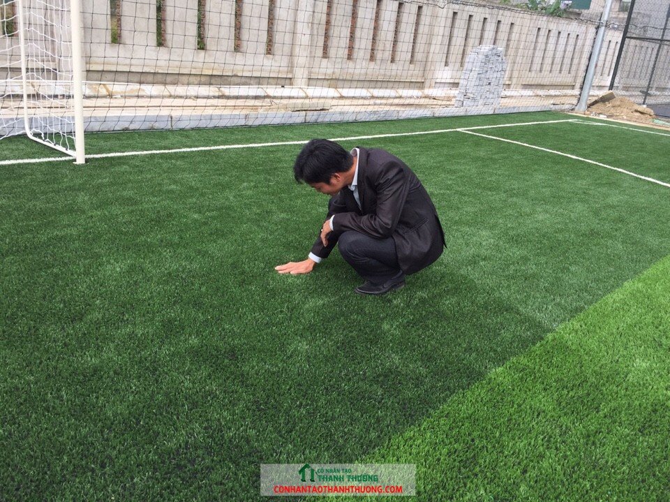 Sân bóng cỏ Limonta