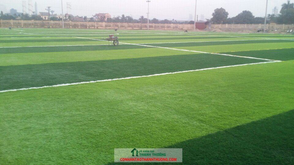 Cung cấp và thi công cỏ nhân tạo tại Cao Bằng