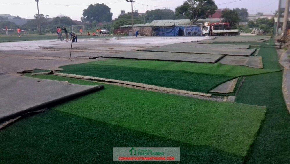 Cung cấp và thi công cỏ nhân tạo tại Tuyên Quang