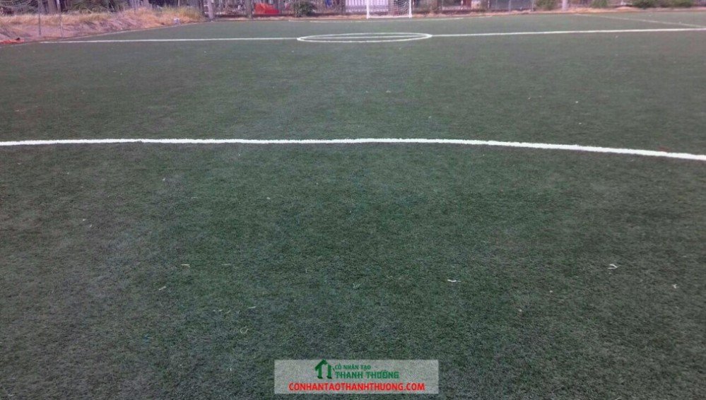 Bão dưỡng cỏ nhân tạo