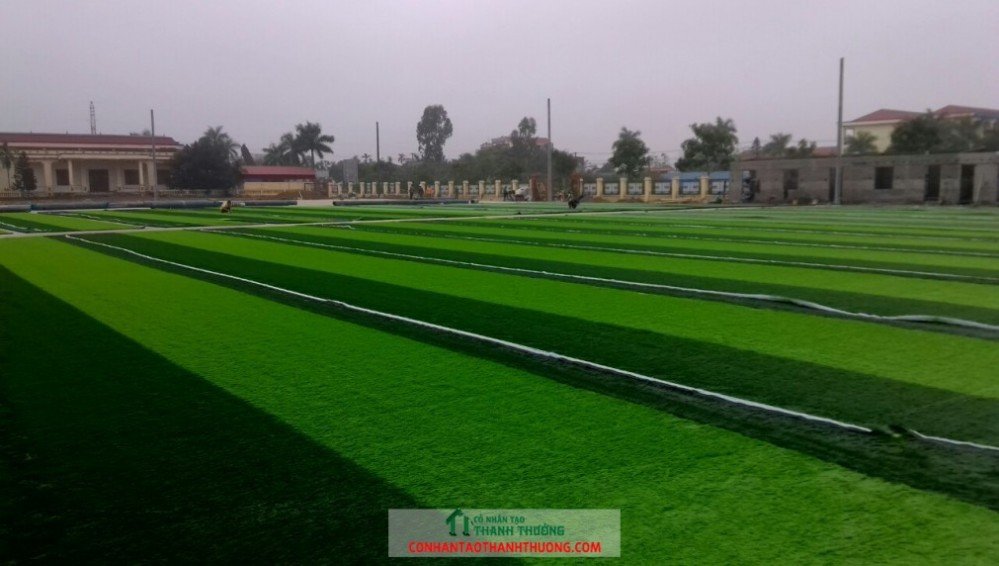 Cung cấp và thi công cỏ nhân tạo tại Bắc Kạn