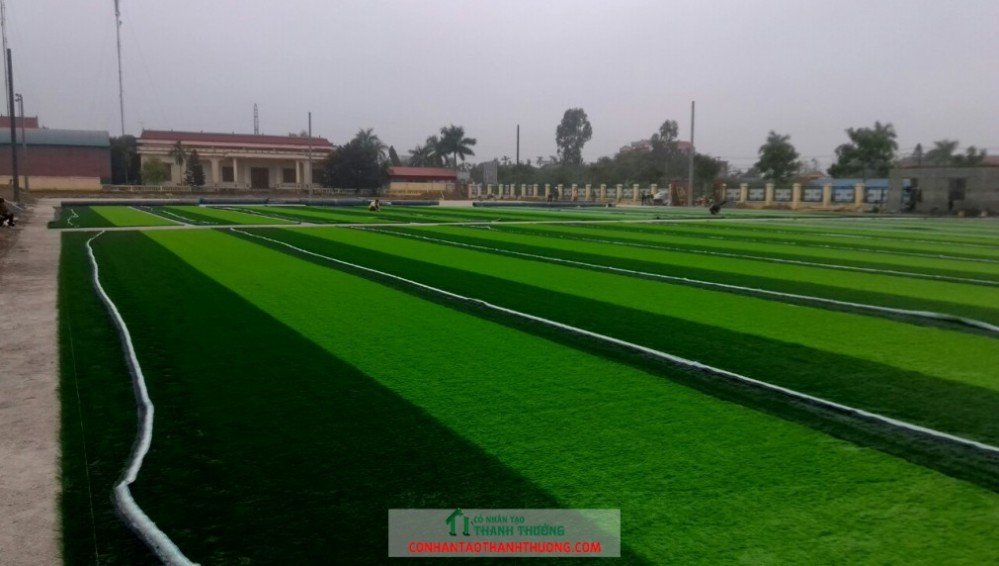 Cung cấp và thi công cỏ nhân tạo sân bóng đá
