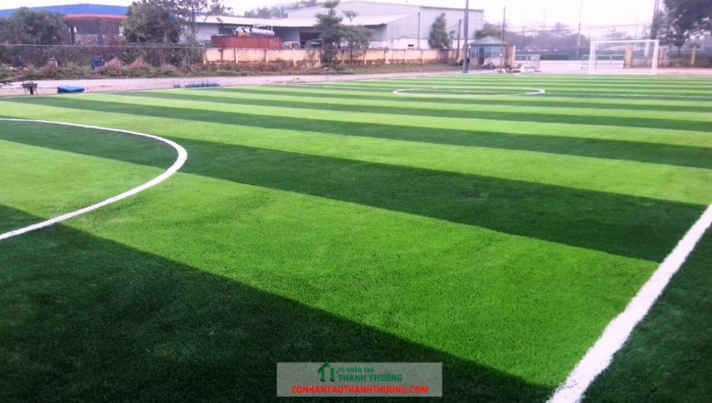 Thi công cỏ nhân tạo Quảng Ninh