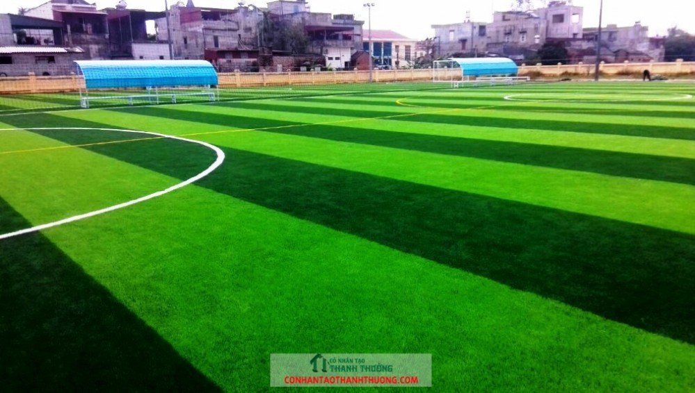 Cung cấp và thi công cỏ nhân tạo tại Thanh Hóa
