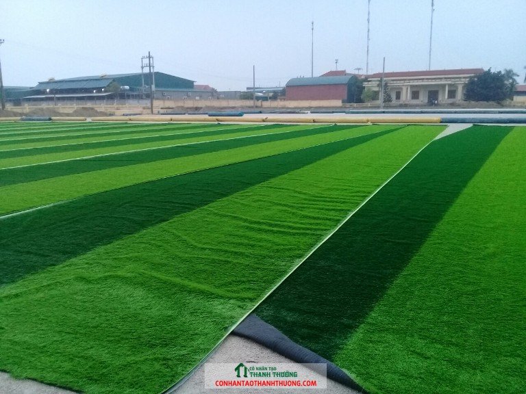 Cung cấp và thi công cỏ nhân tạo tại Nghệ An