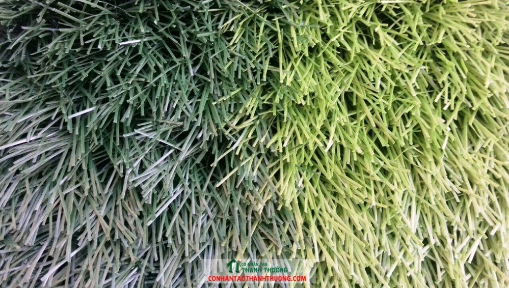 Cỏ nhân tạo sân bóng đá