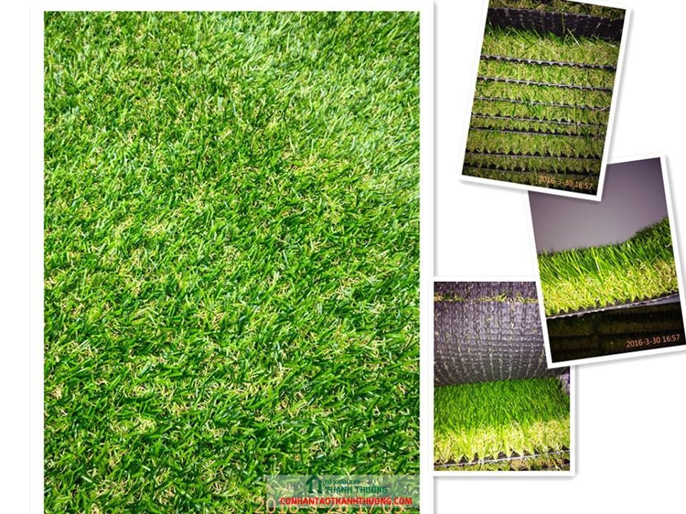 Cung cấp cỏ nhân tạo và thi công sân thể thao tại Lạng Sơn