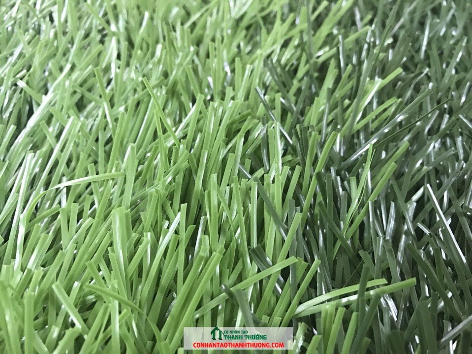 Cỏ nhân tạo giá rẻ
