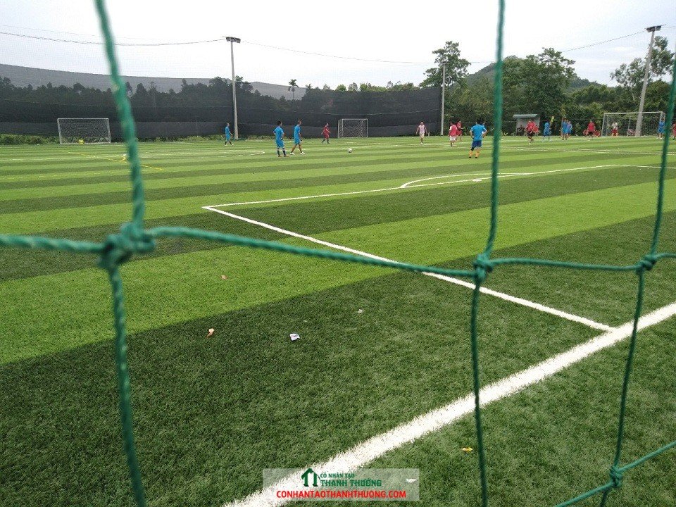Cỏ nhân tạo sân bóng đá