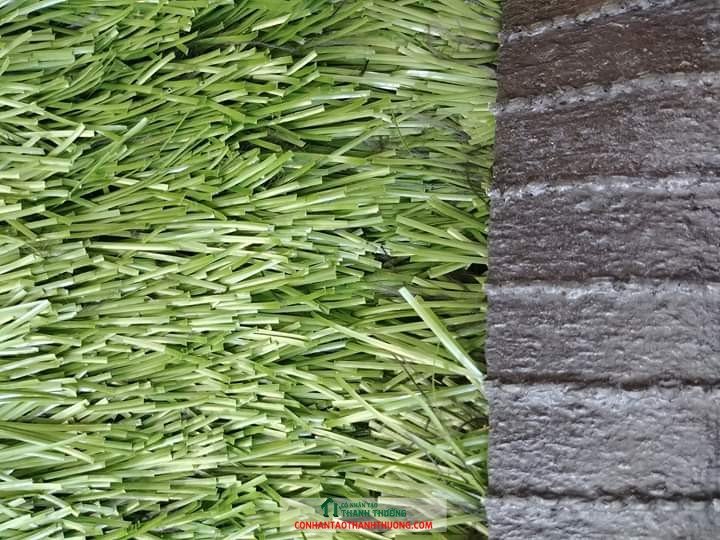 Cung cấp cỏ nhân tạo Cao Bằng