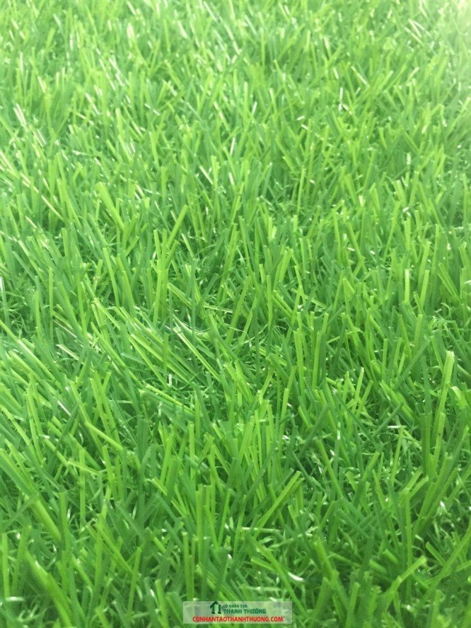 Cung cấp và thi công cỏ nhân tạo tại Ninh Thuận