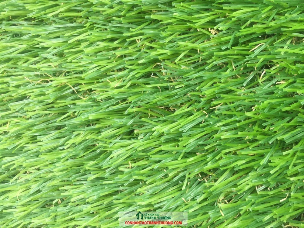 Cung cấp và thi công cỏ nhân tạo tại Phú Yên