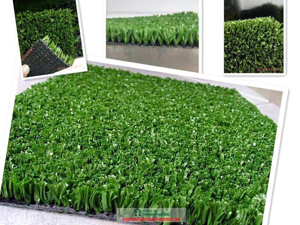 Cung cấp cỏ nhân tạo tại Nam Định