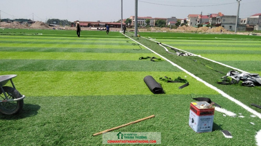 Cung cấp và thi công cỏ nhân tạo sân vườn tại Hải Dương