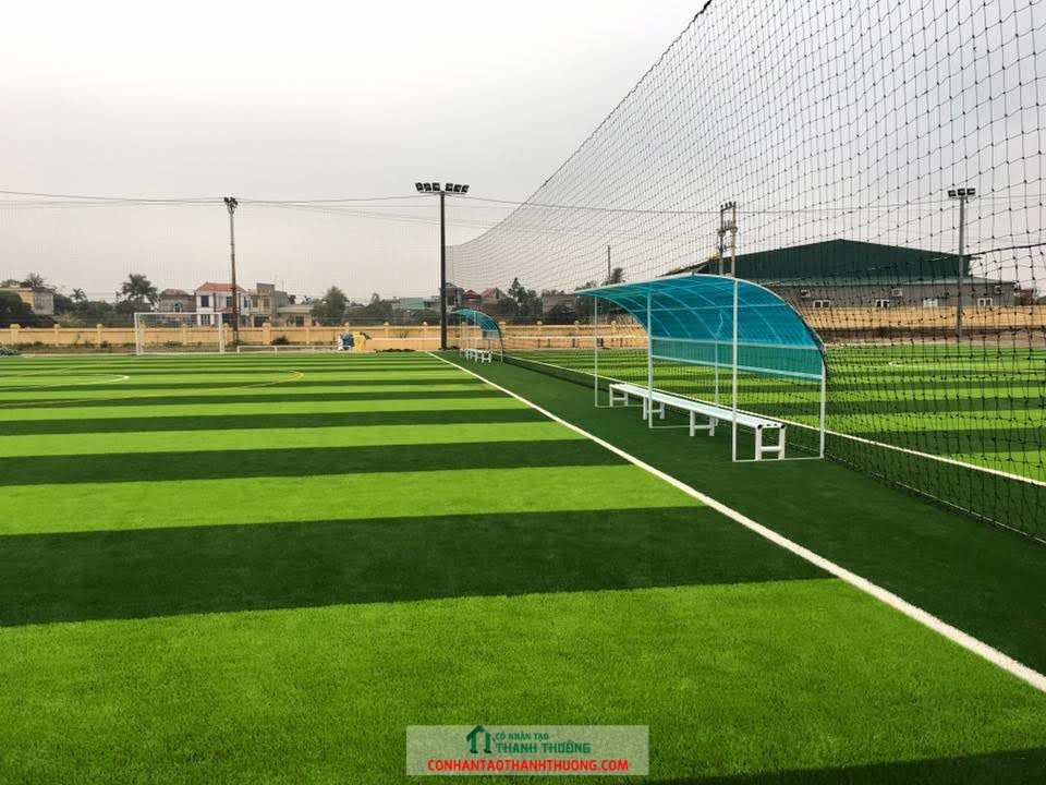 Cung cấp và thi công cỏ nhân tạo tại Hải Phòng