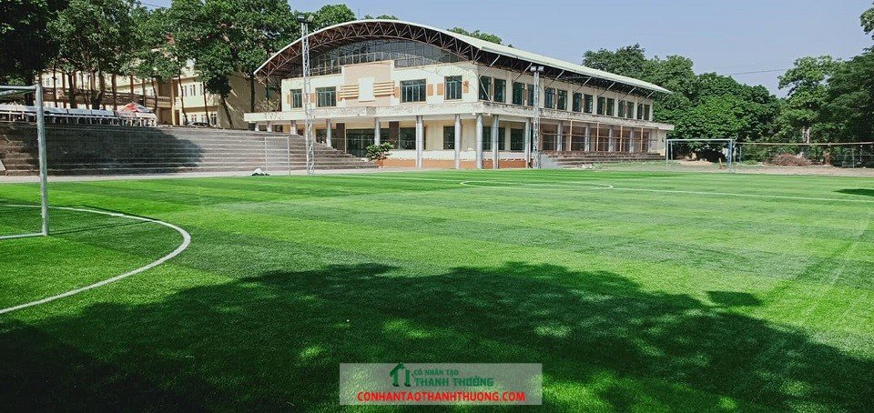 Cung cấp cỏ nhân tạo giá rẻ và thi công sân thể thao chất lượng