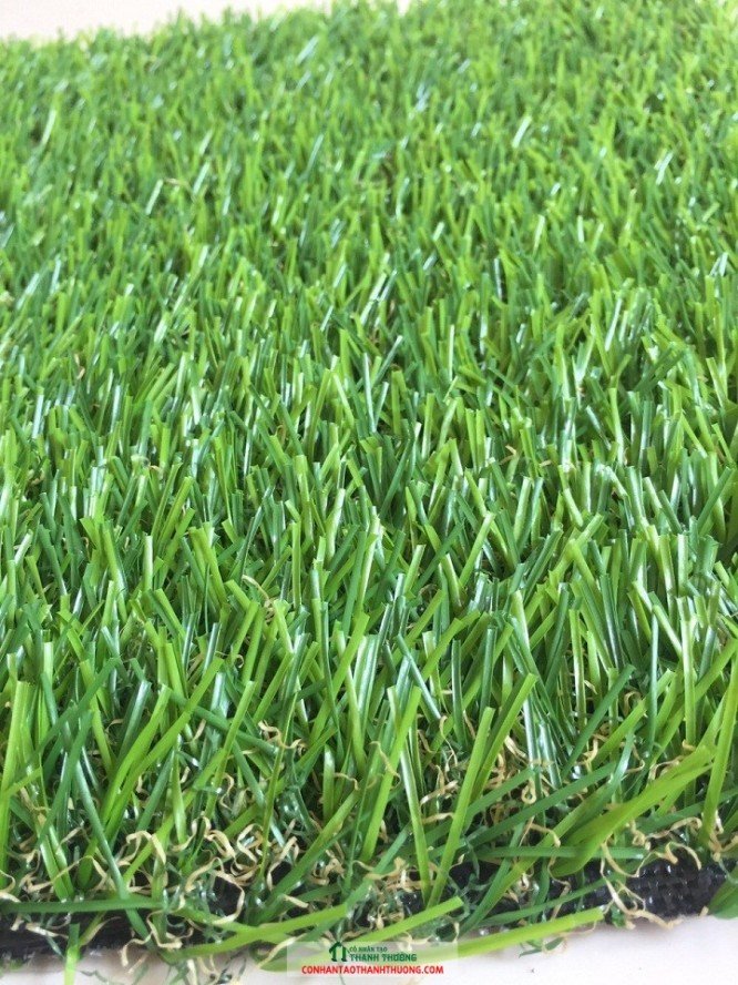 Cung cấp và thi công cỏ sân vườn, sân chơi giá rẻ!!!