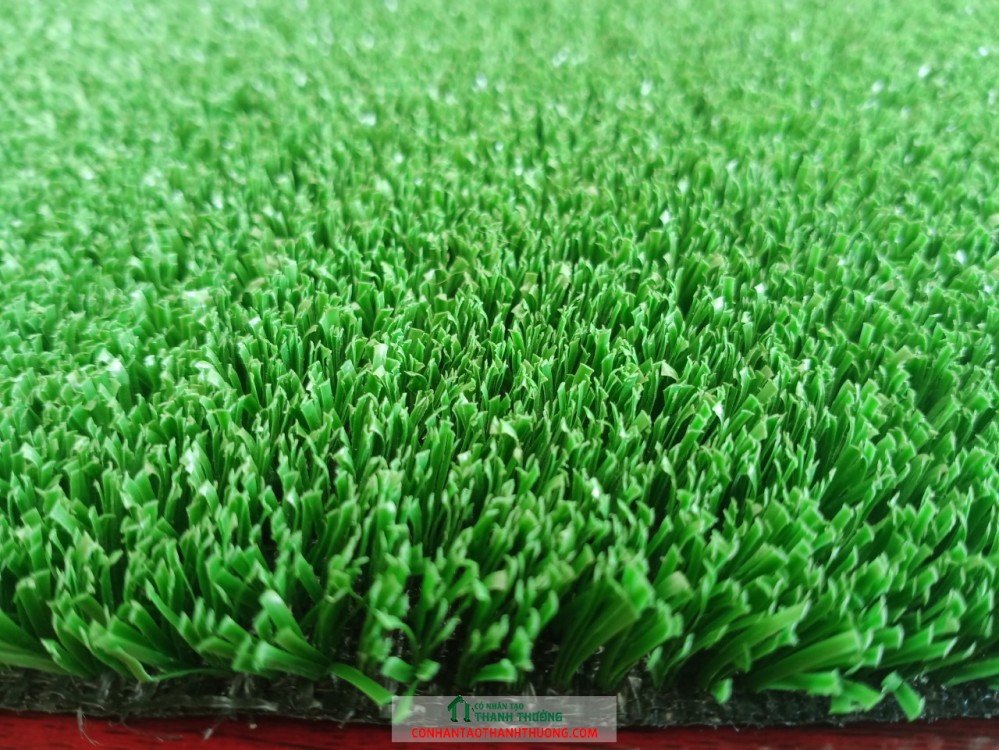 Cung cấp các dịch vụ từ cỏ nhân tạo trên toàn quốc