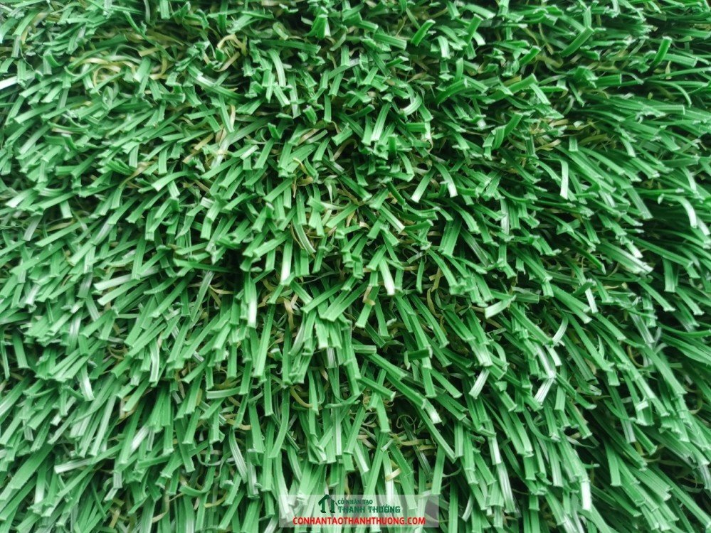Đặc điểm cỏ nhân tạo sân bóng đá không hạt cao su