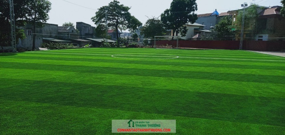 Cung cấp cỏ nhân sân vườn, sân chơi!!!