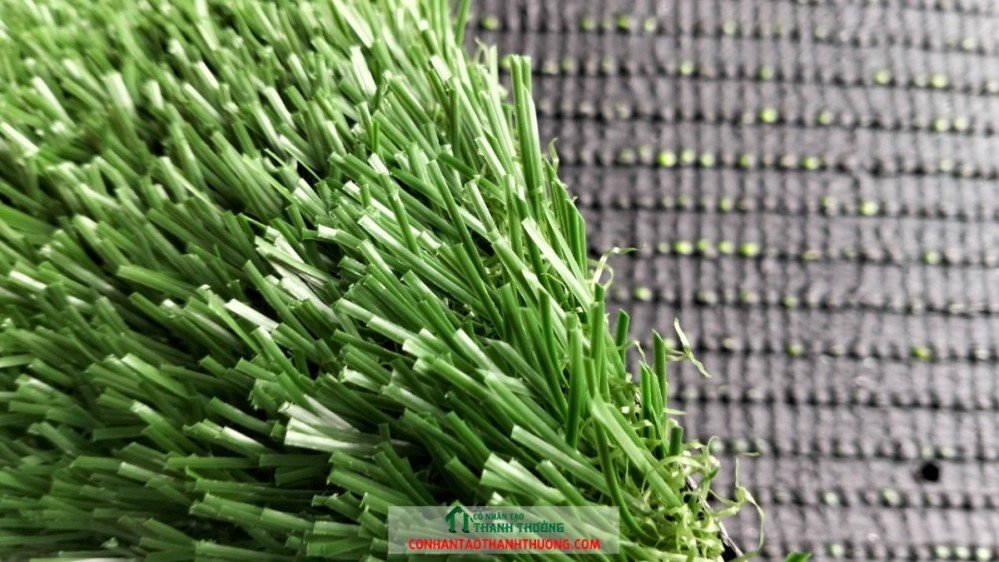 Các dòng cỏ nhân tạo sân bóng đá