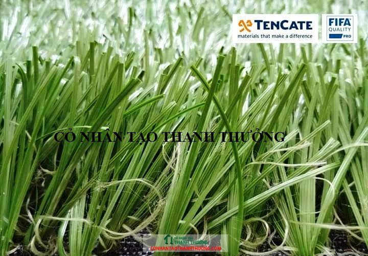 Cỏ nhân tạo sân bóng