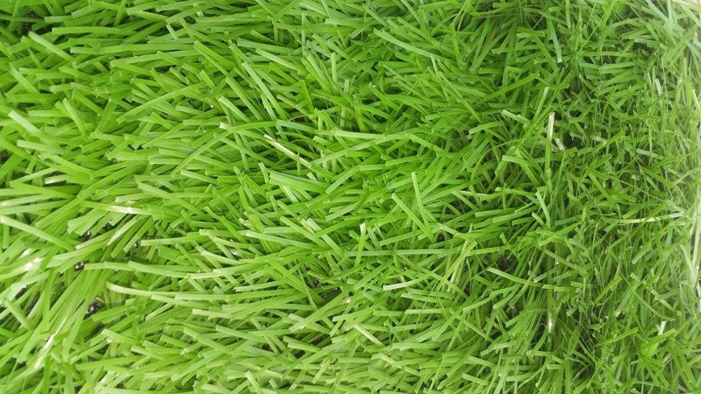 Cỏ sân bóng sợi kim cương TT5