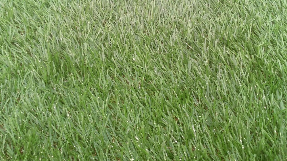 Cỏ nhân tạo trang trí TT 185