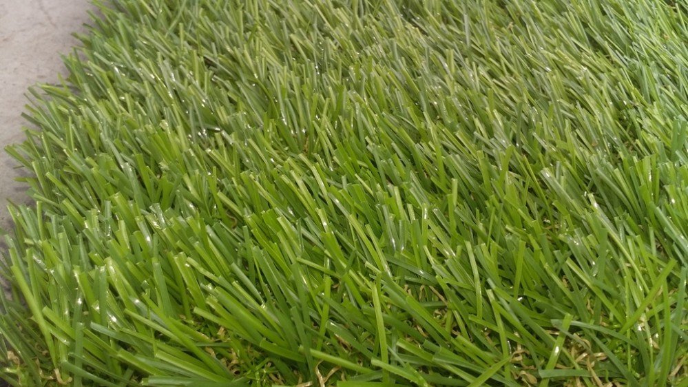Cỏ nhân tạo sân vườn
