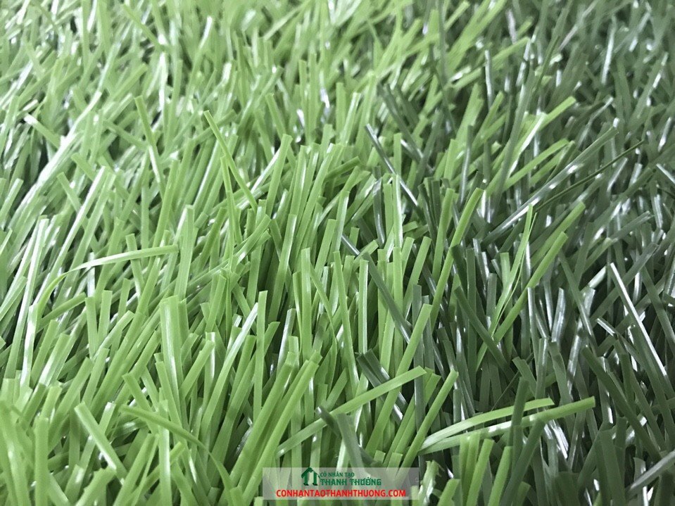 Cỏ nhân tạo sân bóng