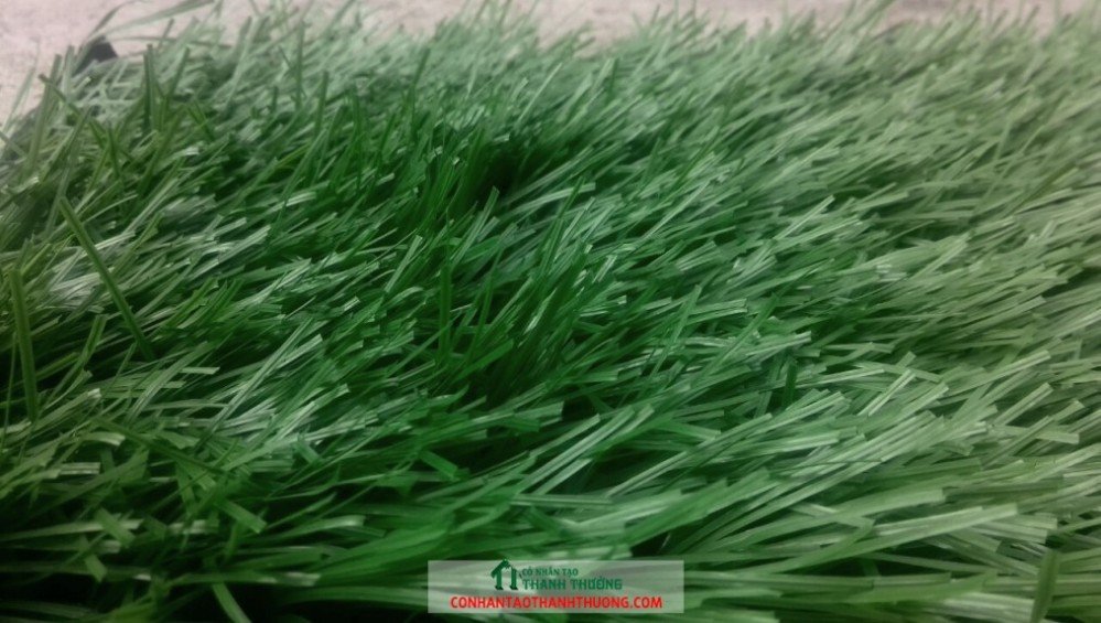 Cỏ nhân tạo sân bóng đá