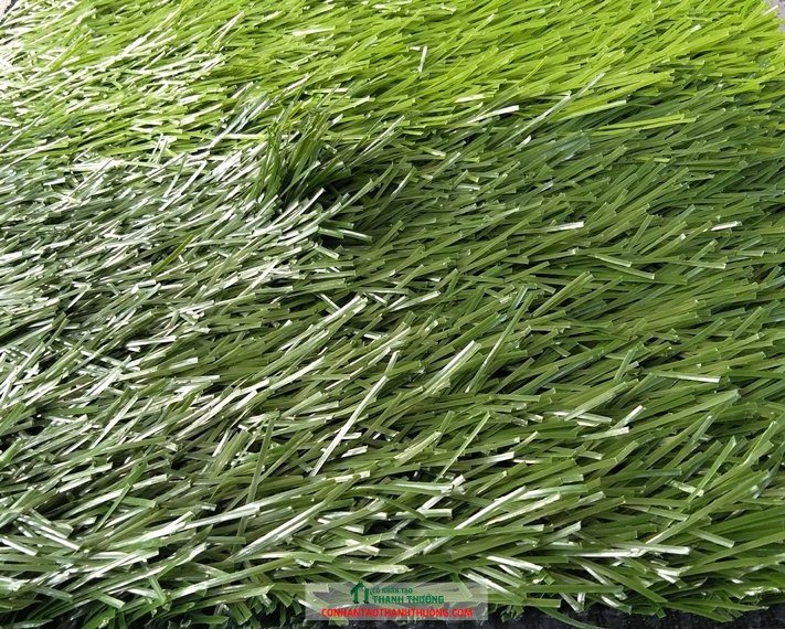 Cỏ nhân tạo sân bóng