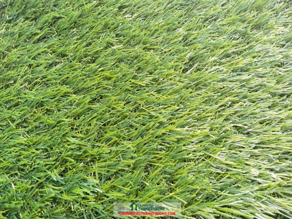 Cỏ nhân tạo sân vườn