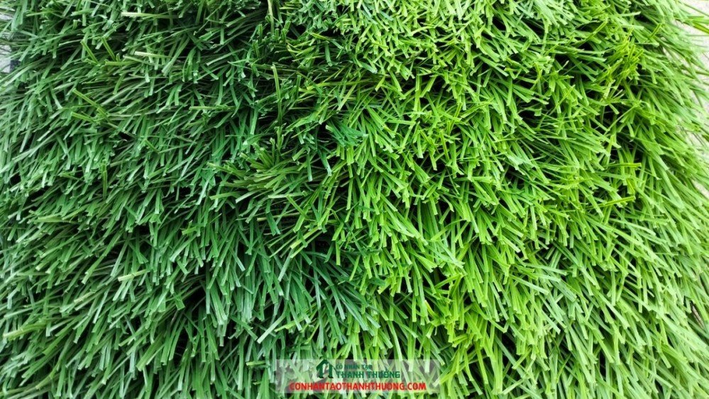 Cỏ nhân tạo kim cương gân