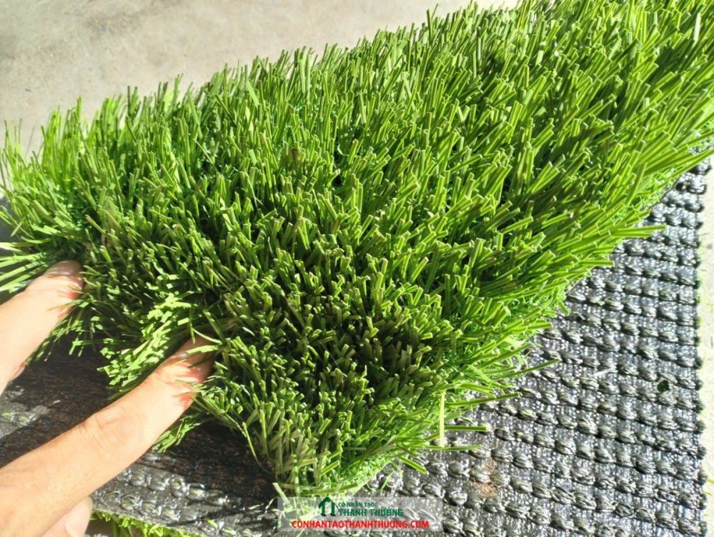 Cỏ nhân tạo bóng đá không dùng hạt cao su