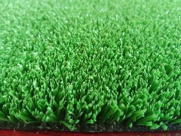 cỏ nhân tạo