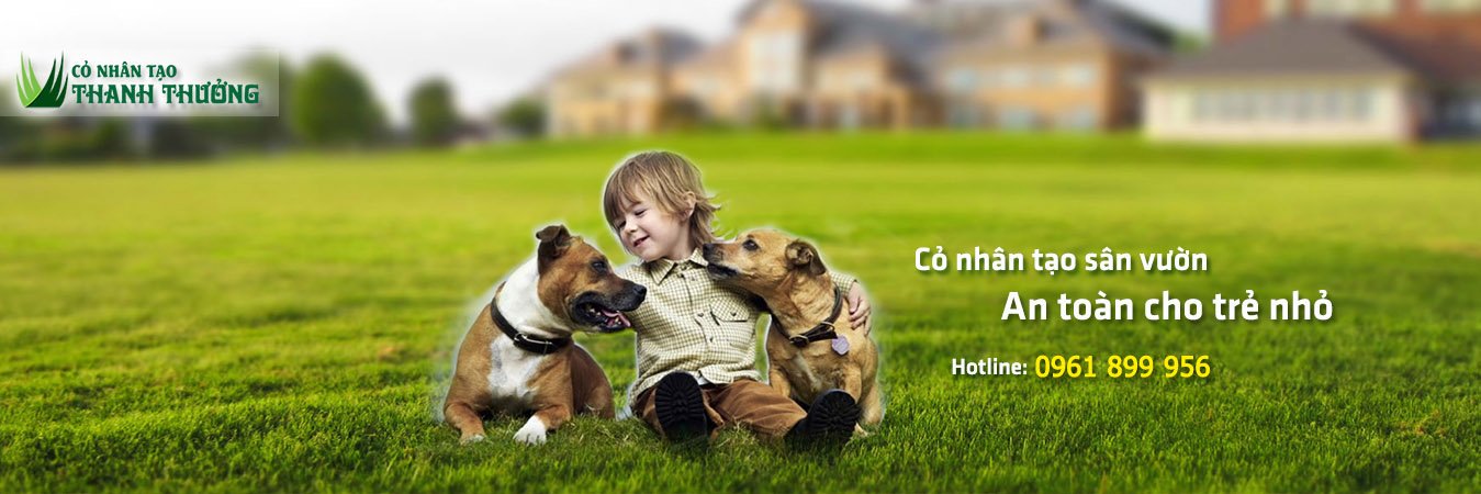 Cỏ nhân tạo Thanh Thưởng 2