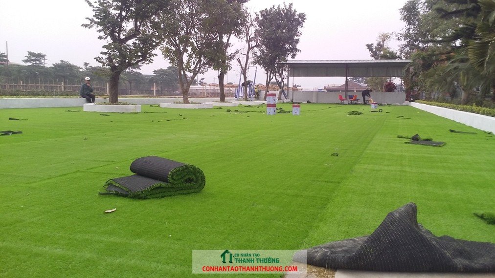 quy trình lột cỏ nhân tạo