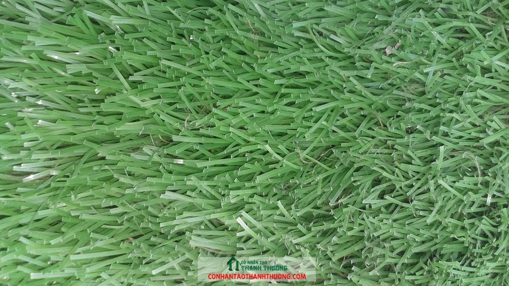 loi ich co2