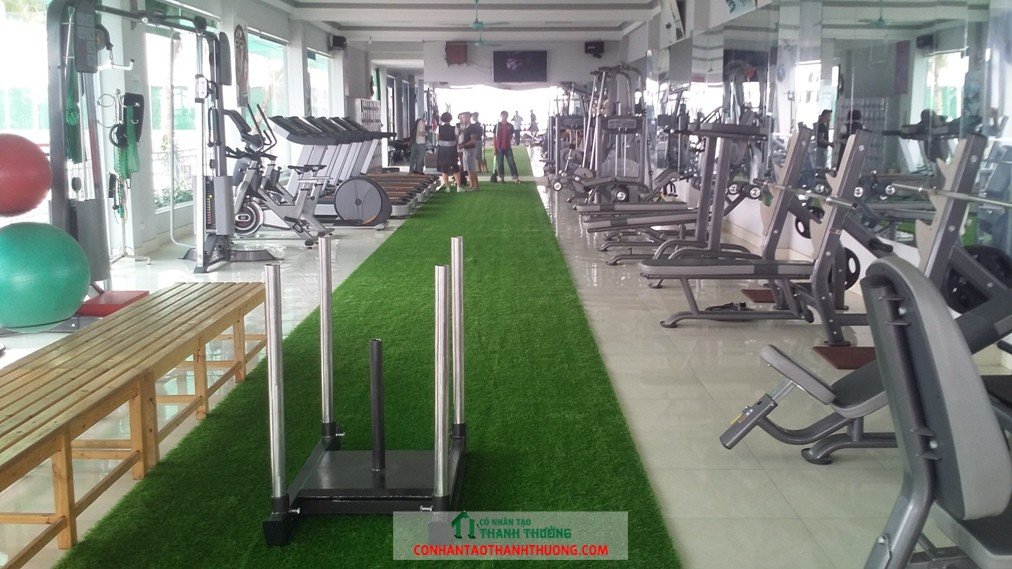 Cỏ Nhan Tạo Phòng Tập GYM