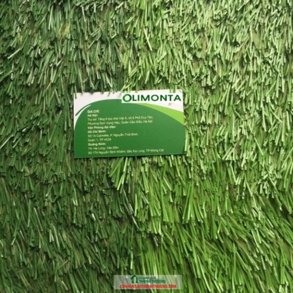 cỏ nhân tạo limonta TT1009