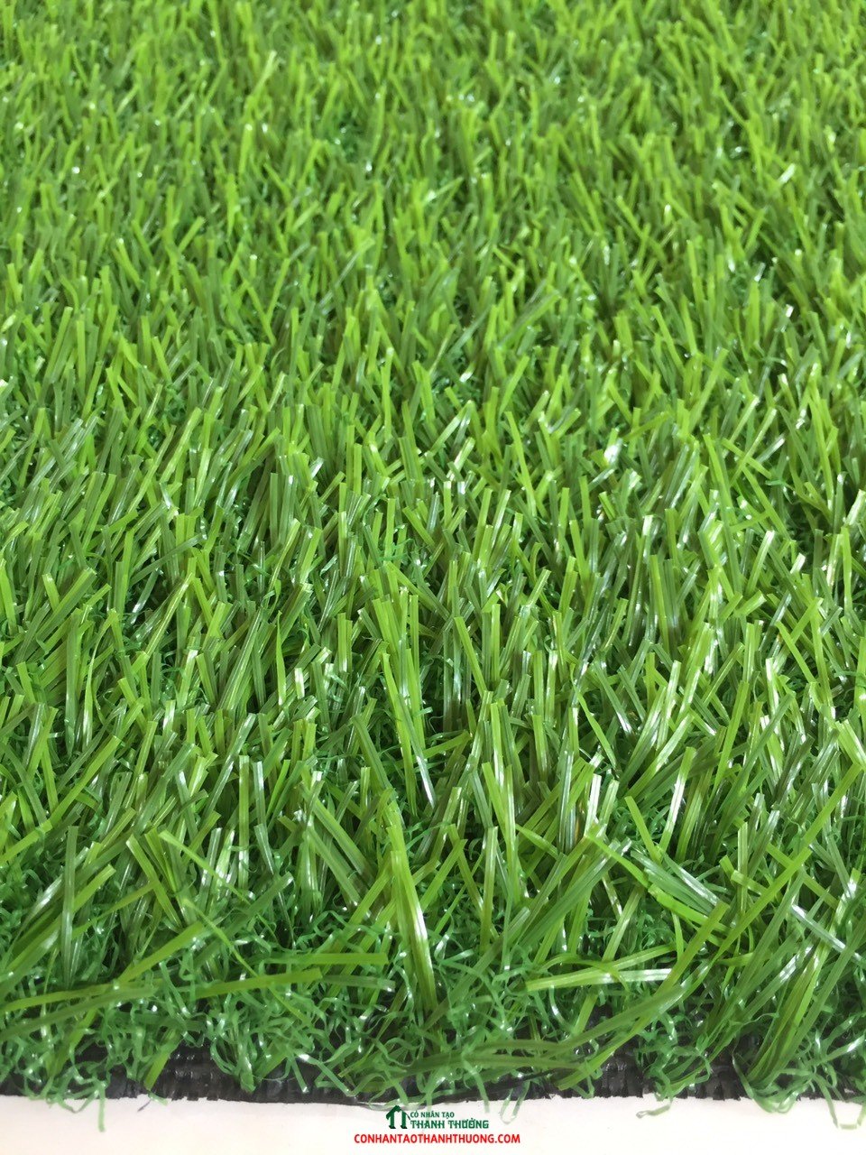 Ảnh cỏ sân vườn